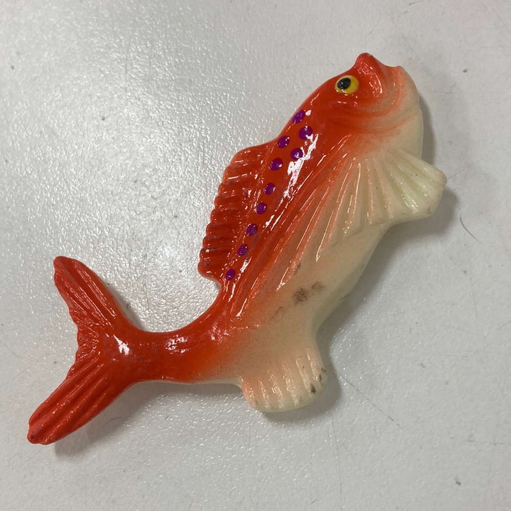 Fish Magnet - Picture 1 of 1